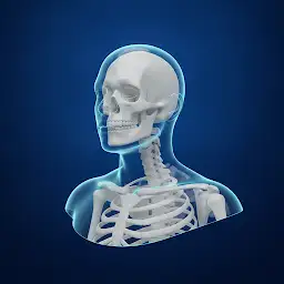Ana3D: 3D Human Anatomy — Android app icon