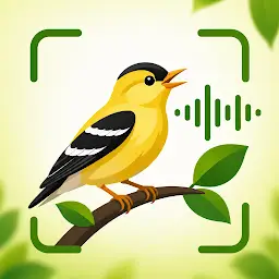 ChirpFind: Bird Sounds — Android app icon