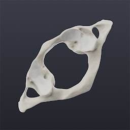 Biomechanics of the Spine Lite — Android app icon