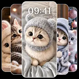 Cute Kitten Wallpapers — Android app icon