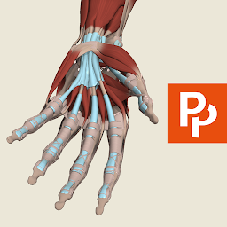 Primal's 3D Forearm & Hand — Android app icon