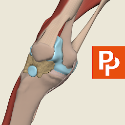 Primal's 3D Knee — Android app icon