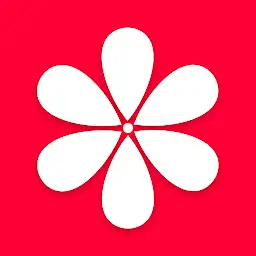Gallery - Photo Album — Android app icon