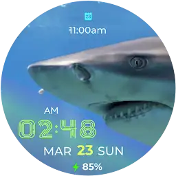 Shark Fin Watch Face — Android app icon