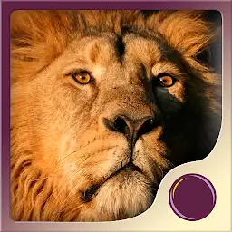 Spirit Animal Power — Android app icon