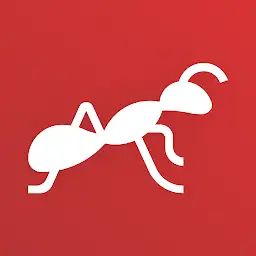 CLUB 216 — Android app icon