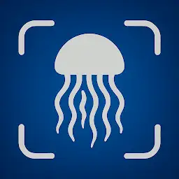 Jellyfish Identifier — Android app icon