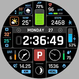 BRN219 Racing Watch Face — Android app icon