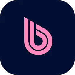 BWT Robotics — Android app icon