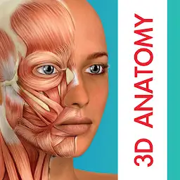 Human Anatomy Learning - 3D — Android app icon
