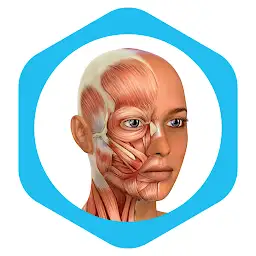 Medical Terminology Learning Q — Android app icon
