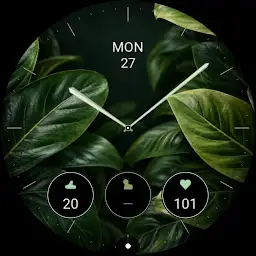 Terra: Botanical Watch Face — Android app icon