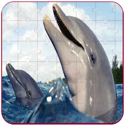 Real Dolphins Game : Jigsaw Pu — Android game icon
