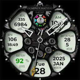 DM135 Sophisticated Watch Face — Android app icon