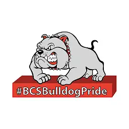 Belfast Central SD — Android app icon