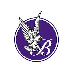 Brentwood Eagles — Android app icon