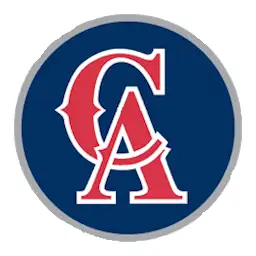 CASD — Android app icon