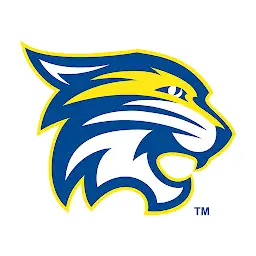 DCA Wildcats — Android app icon