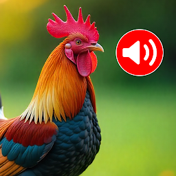 Animal Ringtones: Bird sounds — Android app icon