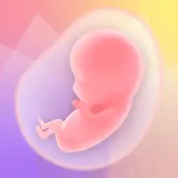 Pregnancy Tracker App | Glow — Android app icon