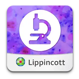 Rubin's Pathology: USMLE Q&A — Android app icon