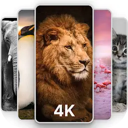 HD Animal Wallpapers 4K — Android app icon