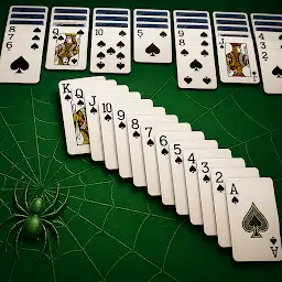 Spider Solitaire Card Game — Android game icon