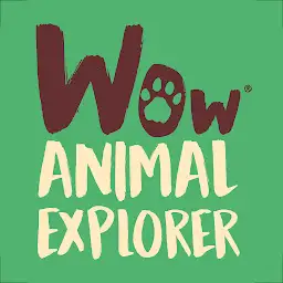 WOW Animal Explorer — Android app icon