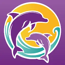 Daiquiri Deck — Android app icon