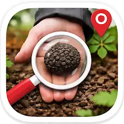 Truffle Hunter and Identifier — Android app icon