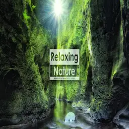 Relaxing Nature — Android app icon