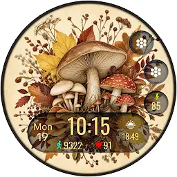 ART045 Autumn Watchface — Android app icon