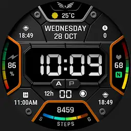 BLZ RAVION -Digital Watch Face — Android app icon