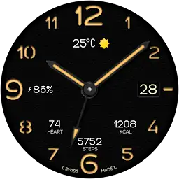 Classic Sport Watch Face — Android app icon