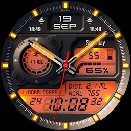 PT53 Hybrid Watch Face — Android app icon