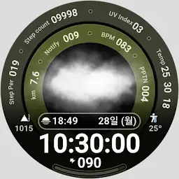 Digital W203 — Android app icon