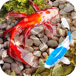 3D Fish Tank Live Wallpaper — Android app icon