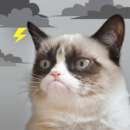 Grumpy Cat Weather — Android app icon