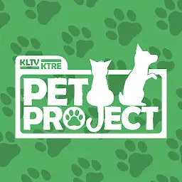 Pet Project KLTV - KTRE — Android app icon