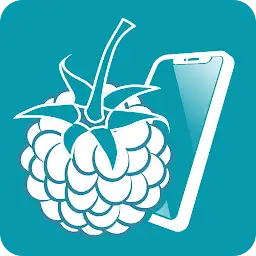 RaspController — Android app icon