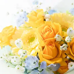 Yellow Rose Bouquet Theme — Android app icon
