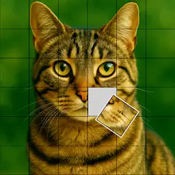 Tetra Piece — Android game icon