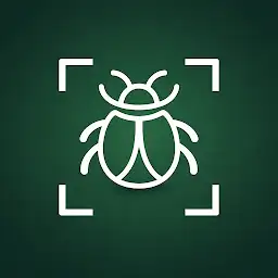Insect Identifier - Insectr — Android app icon