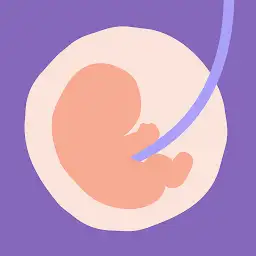 24baby.nl – Pregnant & Baby — Android app icon