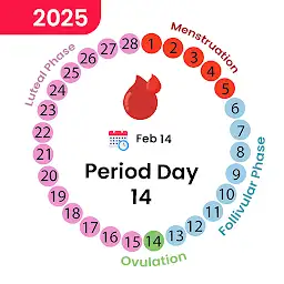 Ovulation Cycle Period Tracker — Android app icon